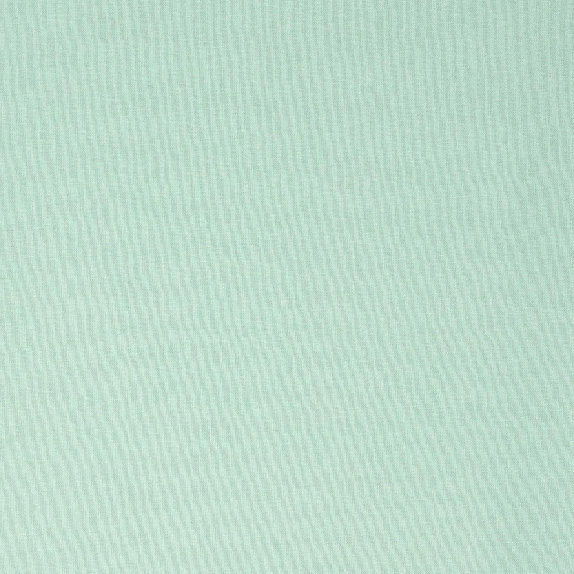 Colorworks Premium Solid Frosted Mint ½ yd
