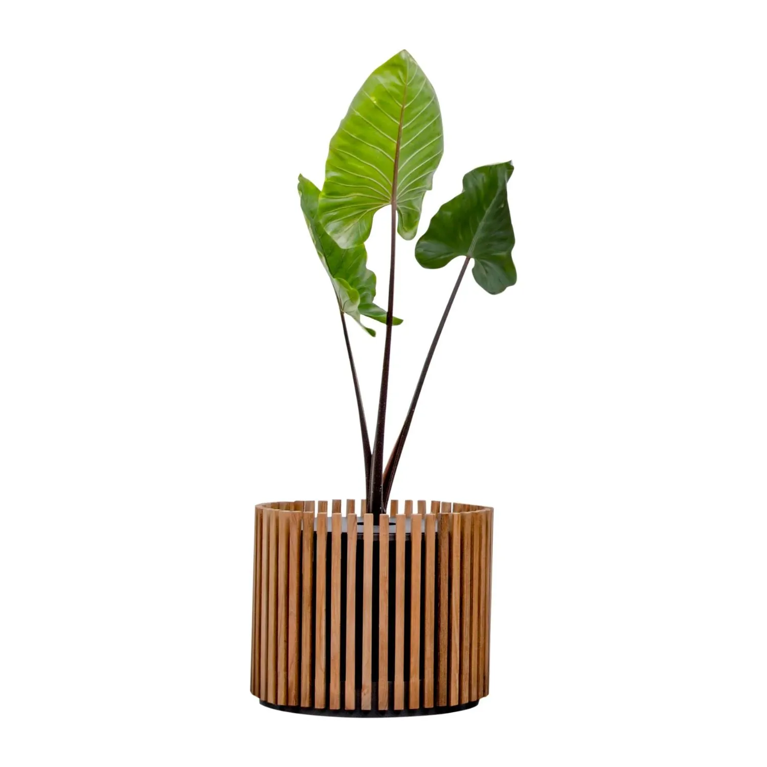 Cubic Planter w/ Stand