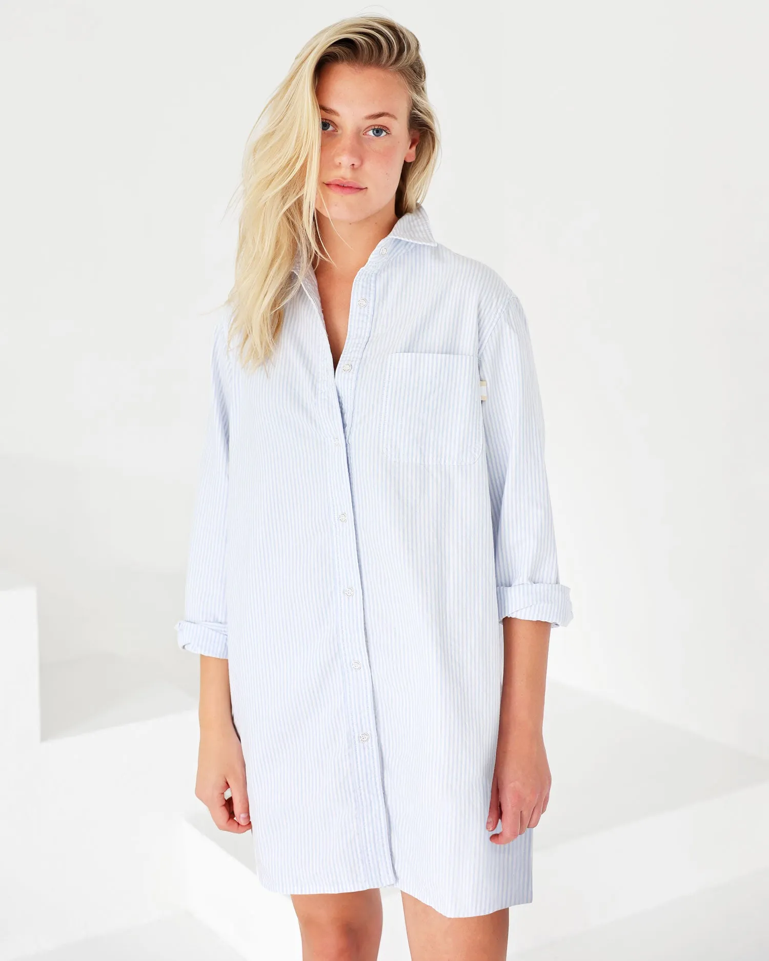 Oxford Stripe Dress Blue