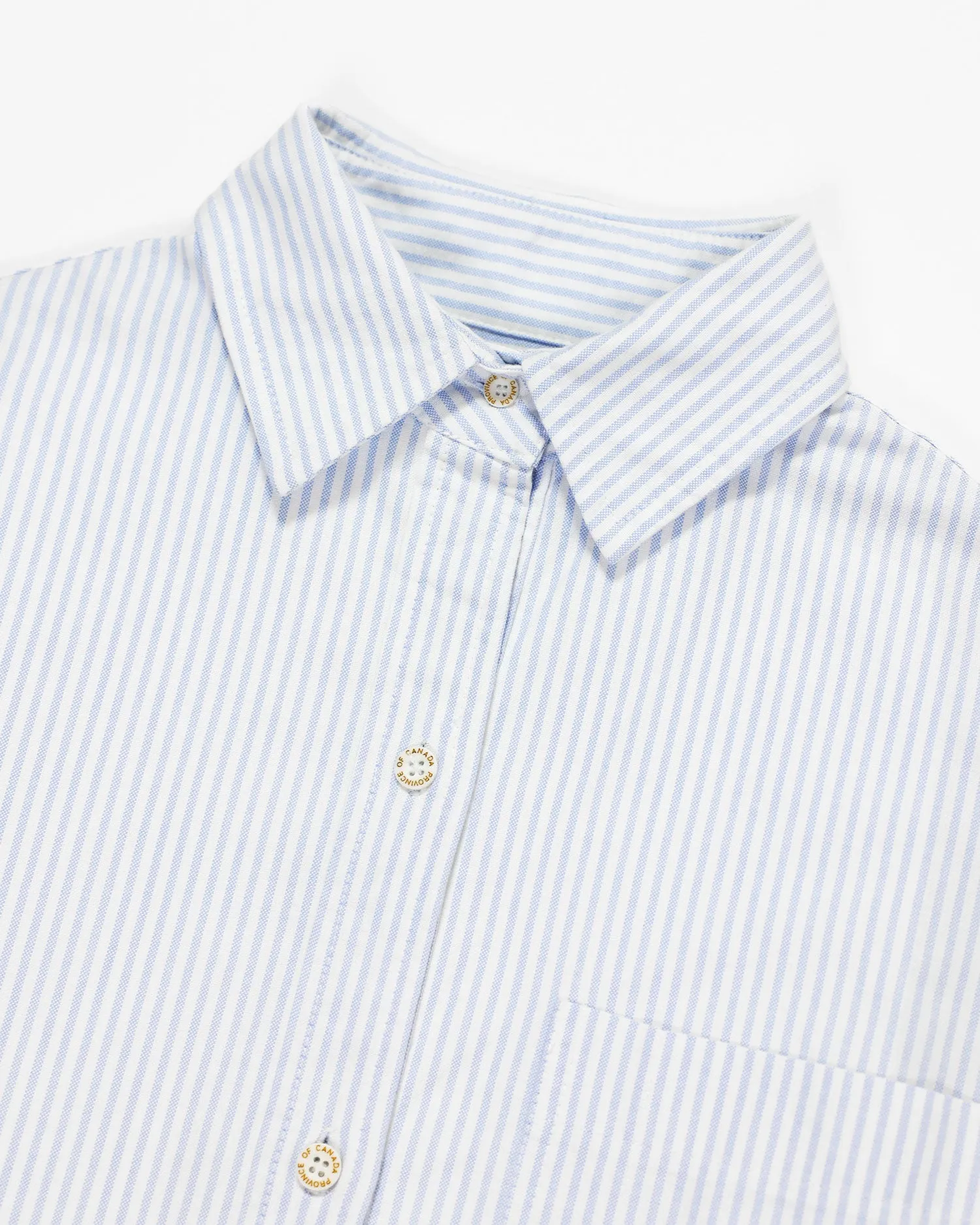 Oxford Stripe Dress Blue
